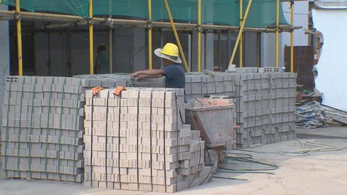 金山发展新篇章 居住、商业、就业三箭齐发，220个项目稳步推进